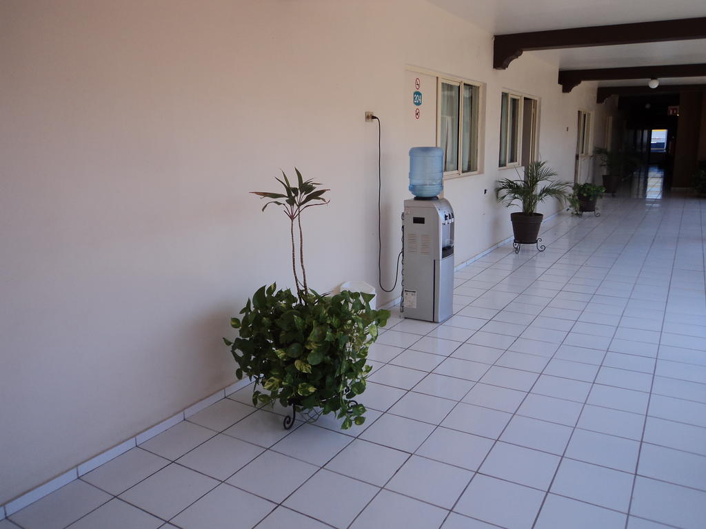 Hotel California Navojoa Exteriör bild